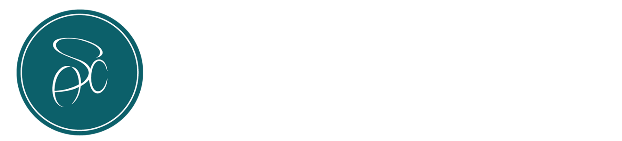 Andy Schleck Cycles