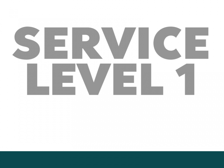 Service Level 1