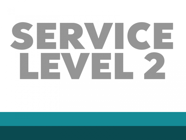 Service Level 2