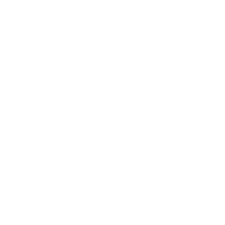 3t.png