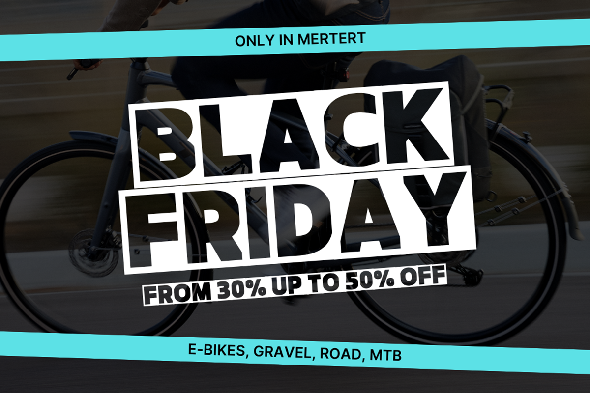 word press black friday